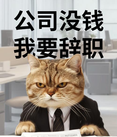 几天了公司不发工资怎么办?-图2 几天了公司不发工资怎么办?-图2