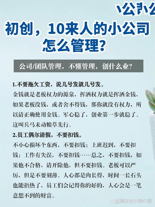 初创公司如何高效搭建人力资源体系？-图3