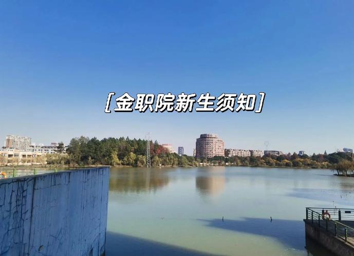 金职院招聘什么岗位？要求有哪些？-图2