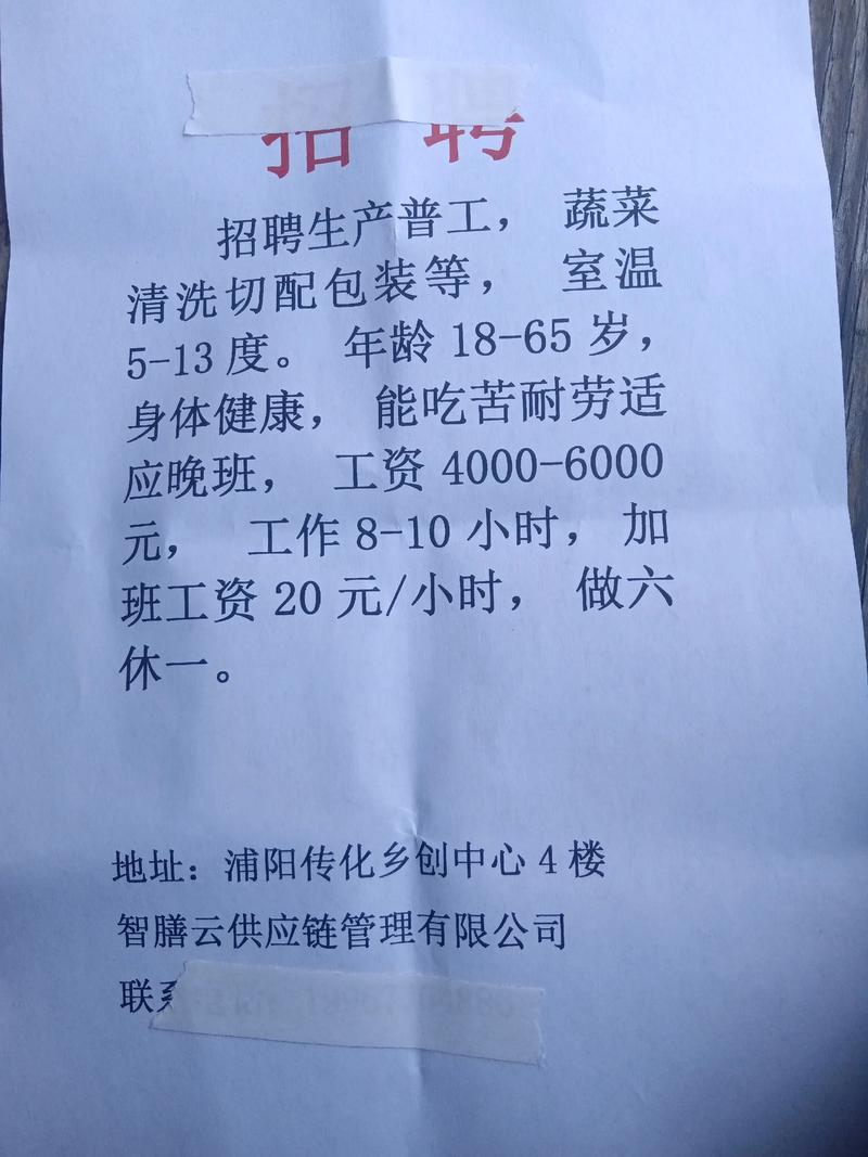 巨石集团招聘什么岗位?-图3 巨石集团招聘什么岗位?-图3