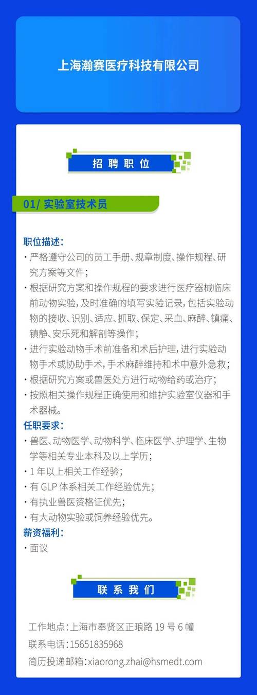 临港集团招聘有哪些岗位和要求？-图1
