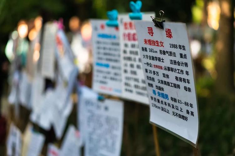 世纪佳缘招聘？有何新岗位或要求？-图1