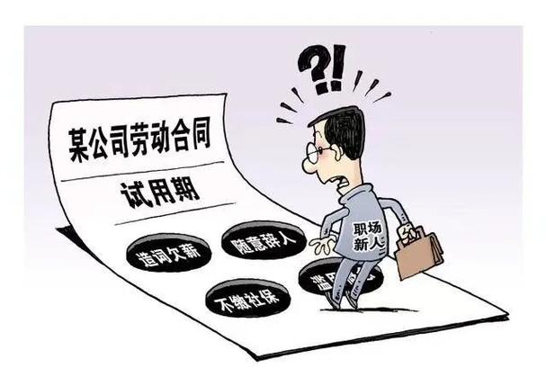 在一个公司试用期-图1