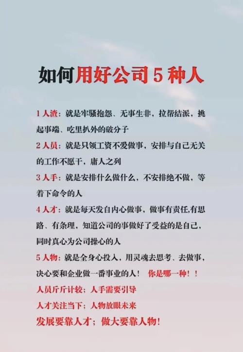 公司HR负责人通常由谁来担任？-图2