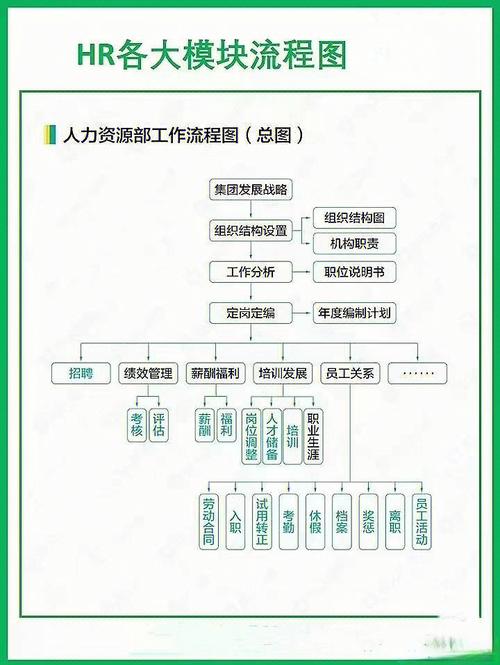 如何高效管理人力资源公司？-图2