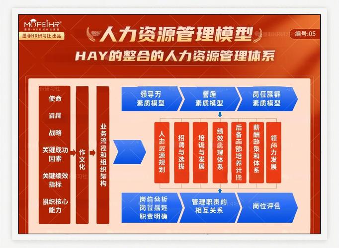 网站公司人力资源管理如何优化效能？-图1