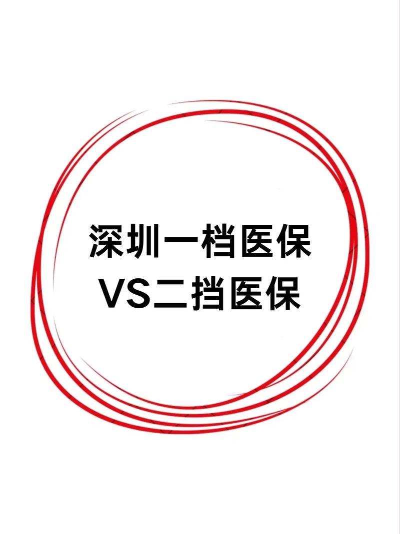 深圳社保局官网公司怎么查社保信息？-图3