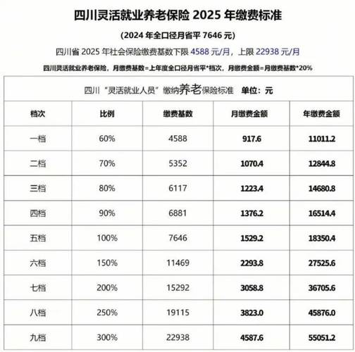 四川检修公司社保缴存标准是什么?-图1 四川检修公司社保缴存标准是什么?-图1