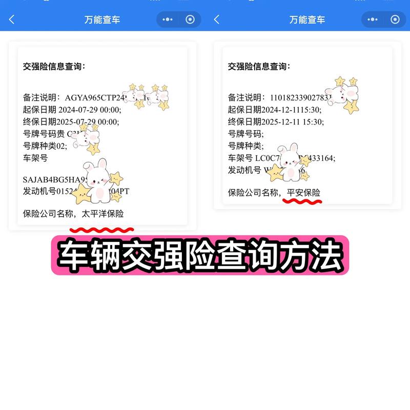 如何快速查询公司个人保险信息？-图3