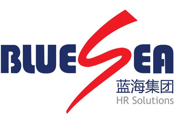 蓝海上海集团有限公司是做什么的？-图1