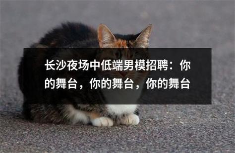 长沙男模招聘要求具体有哪些?-图1 长沙男模招聘要求具体有哪些?-图1