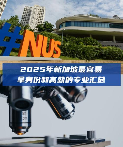 新加坡人力资源代办，服务有哪些？-图3