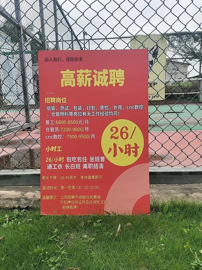 洪江区招聘什么岗位?要求有哪些?-图2 洪江区招聘什么岗位?要求有哪些?-图2