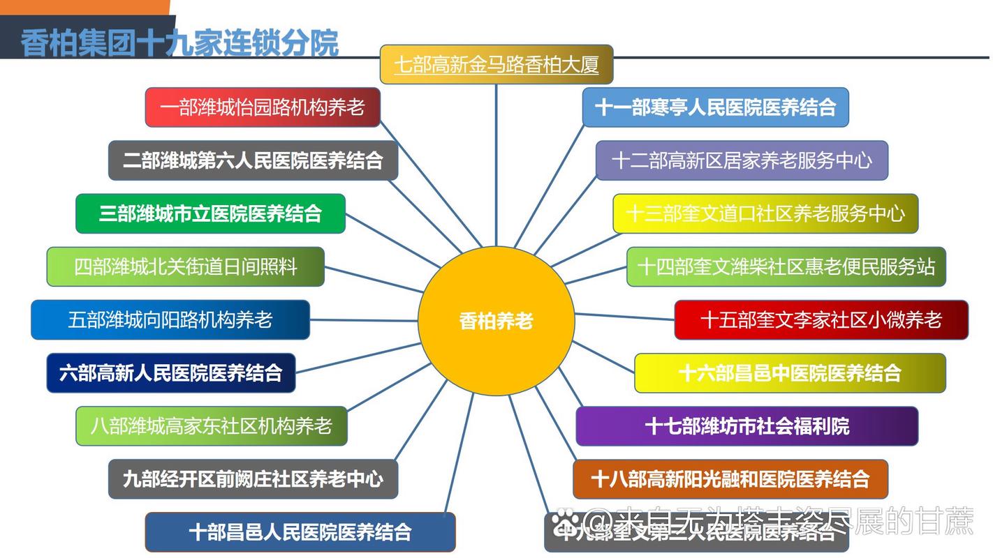 养老机构与集团公司究竟是什么关系?-图2 养老机构与集团公司究竟是什么关系?-图2