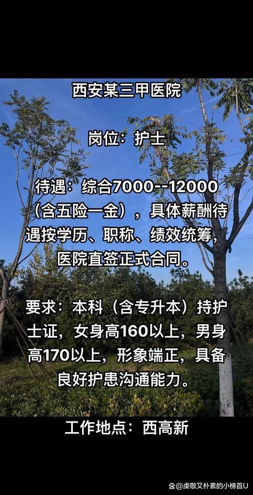 重庆医院护士招聘-图1