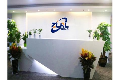 智人力资源有限公司提供哪些服务？-图2