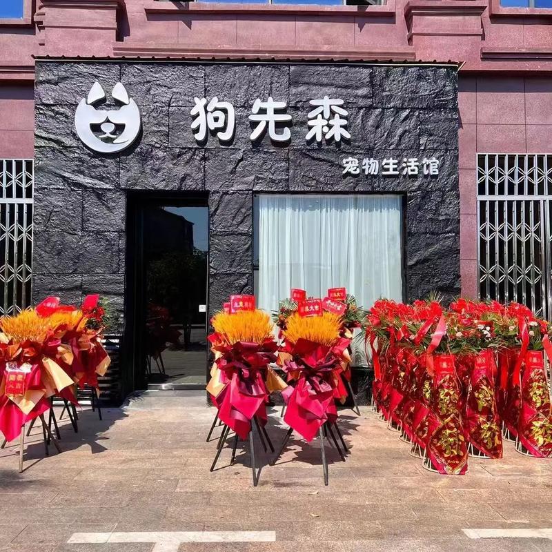 宠物店学徒招聘,门槛高吗?-图1 宠物店学徒招聘,门槛高吗?-图1