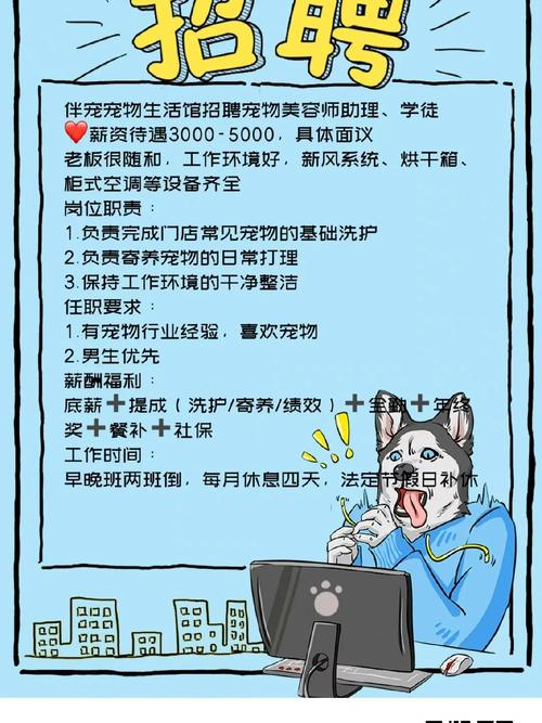 宠物店学徒招聘,门槛高吗?-图3 宠物店学徒招聘,门槛高吗?-图3