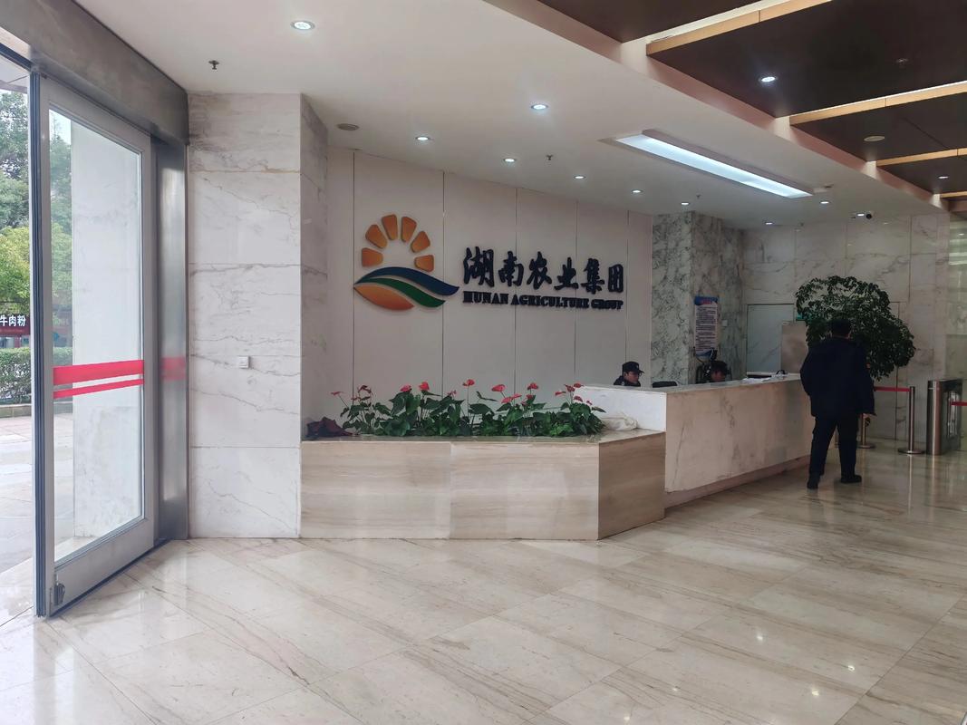 湖南劳动服务公司具体提供哪些服务？-图2