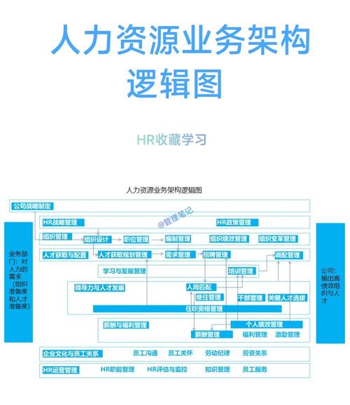 公司规模如何影响人力资源业务？-图3