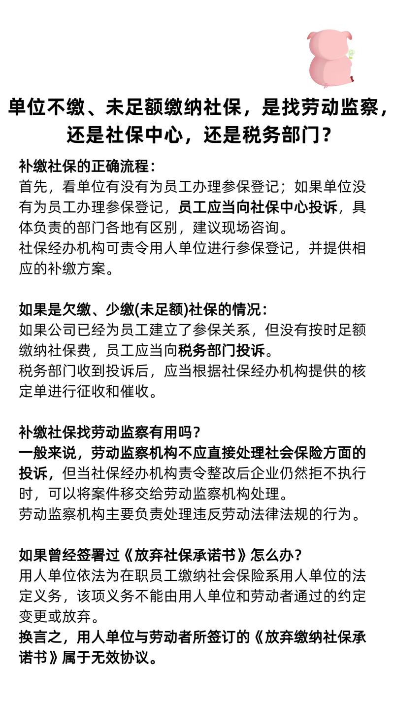 公司社保为何无需年审？-图2