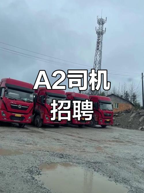 忻州招聘司机，具体要求有哪些？-图1