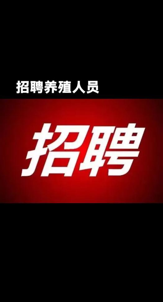 飞猪招聘哪些岗位？-图3