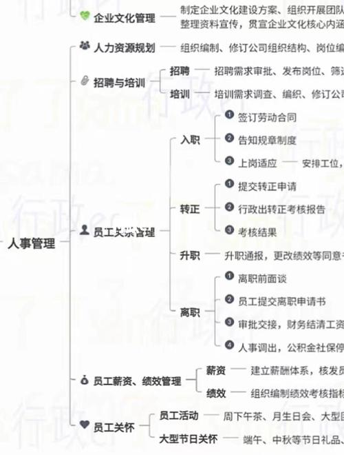 公司行政经理通常配备几人？-图3