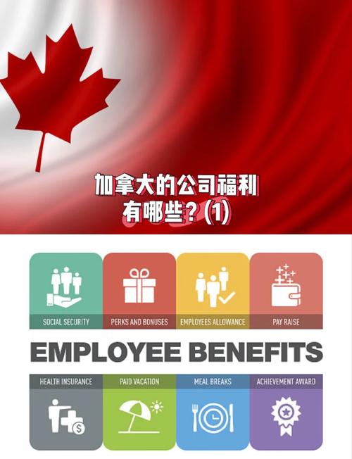 十大公司福利-图2