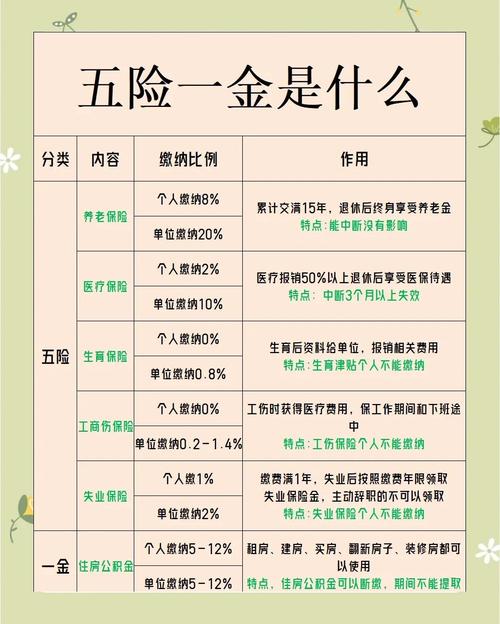 新成立公司如何为员工办理五险？-图3