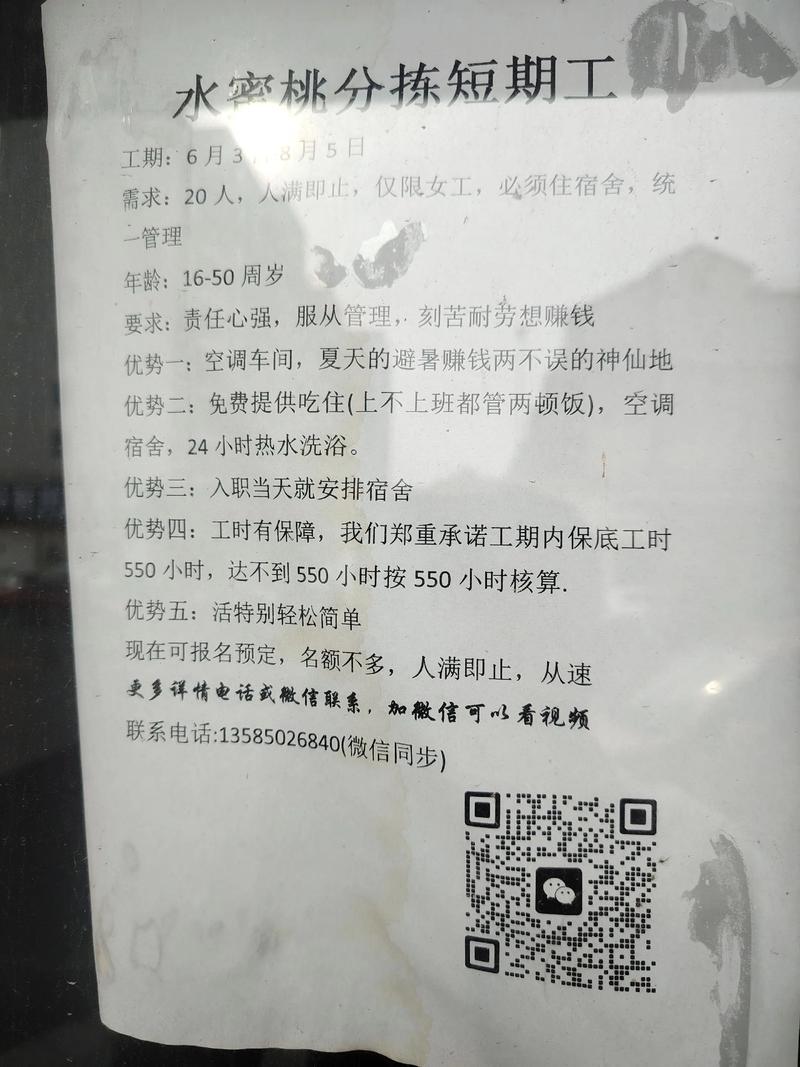 合肥人力资源公司电话-图2