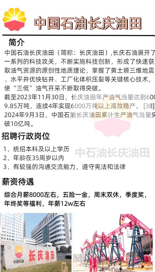 石油公司招聘信息有哪些岗位要求？-图3