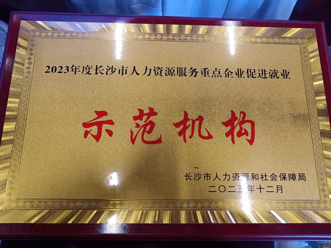 人力资源公司有哪些荣誉？-图1